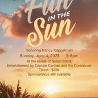 Fun-in-the-Sun-website